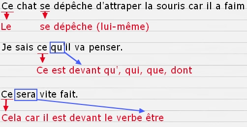 ce-se ce-se